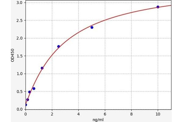 RIPK1 ELISA Kit