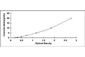 Typical standard curve (MYH2 ELISA Kit)