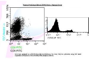 Image no. 1 for anti-CD6 (CD6) antibody (FITC) (ABIN1112221) (CD6 antibody  (FITC))