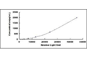 Ionized Calcium-binding Adapter Molecule 1 (IBA1) CLIA Kit