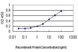 Detection limit for recombinant GST tagged STAT3 is approximately 0. (STAT3 antibody  (AA 670-769))