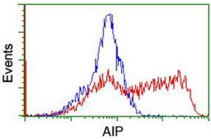 Image no. 2 for anti-Aryl Hydrocarbon Receptor Interacting Protein (AIP) antibody (ABIN1496677) (AIP antibody)