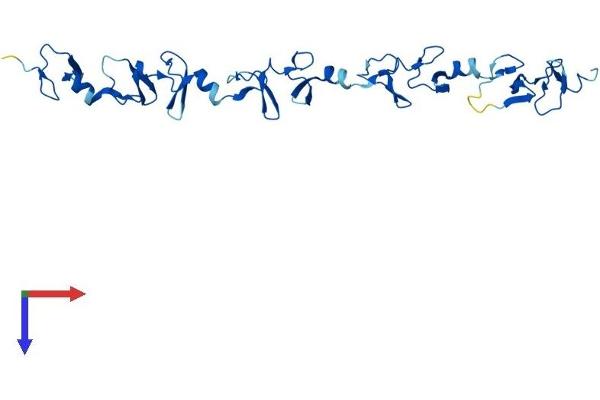 FHL2 Protein (AA 1-279) (His tag)