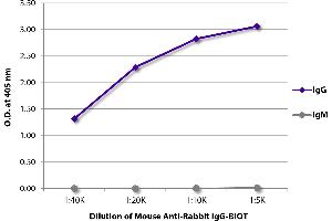 ELISA plate was coated with purified rabbit IgG and IgM. (Mouse anti-Rabbit IgG (Fc Region) Antibody (Biotin))