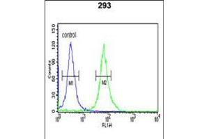 Flow cytometric analysis of 293 cells (right histogram) compared to a negative control cell (left histogram). (PKM2 antibody  (N-Term))