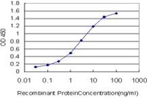 Detection limit for recombinant GST tagged UBQLN2 is approximately 0. (Ubiquilin 2 antibody  (AA 555-624))