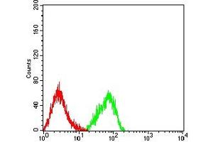Flow cytometric analysis of HL-60 cells using CD158D mouse mAb (green) and negative control (red). (KIR2DL4/CD158d antibody  (AA 22-120))
