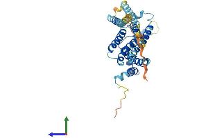 Protein Structure (PS) image for Translocation Associated Membrane Protein 1-Like 1 (TRAM1L1) (AA 1-363) protein (His tag) (ABIN7559593)