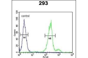 CLRN3 Antibody (C-term) (ABIN653073 and ABIN2842673) flow cytometric analysis of 293 cells (right histogram) compared to a negative control cell (left histogram).