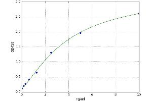 Prostaglandin E Synthase (PTGES) ELISA Kit