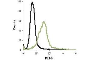Cell surface detection of Histamine H2 receptor in live intact rat basophilic leukemia cell lines: (black line) Unstained cells + goat-anti-rabbit-FITC. (HRH2 antibody  (2nd Extracellular Loop))