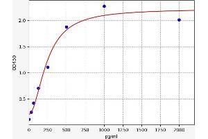 RPS19 ELISA Kit