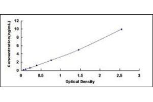 Typical standard curve (CD99 ELISA Kit)