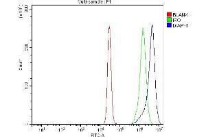 Flow Cytometry analysis of K562 cells using anti-DIAPH1 antibody (ABIN7599652). (DIAPH1 antibody  (AA 1039-1153))