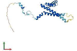 Protein Structure (PS) image for Translocase of Inner Mitochondrial Membrane 22 Homolog (TIMM22) (AA 1-194) protein (His tag) (ABIN7560518)