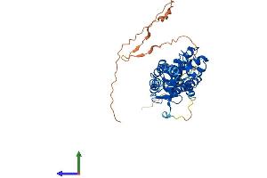 AlphaFold protein structure predicition of Human Recombinant HNF4G Protein, UniprotID Q14541