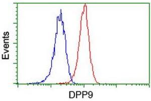 Flow cytometric Analysis of Jurkat cells, using anti-DPP9 antibody (ABIN2455322), (Red), compared to a nonspecific negative control antibody, (Blue). (DPP9 antibody)