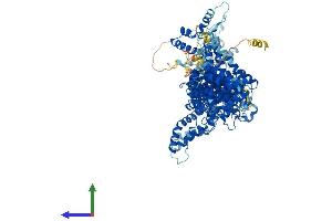 Protein Structure (PS) image for Cytoplasmic FMR1 Interacting Protein 2 (CYFIP2) (AA 1-1278) protein (His tag) (ABIN7553596)