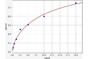 Ornithine Decarboxylase 1 (ODC1) ELISA Kit
