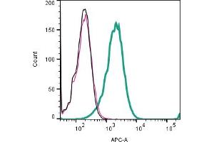 Cell surface detection of GlyT1 by indirect flow cytometry in live intact human Jurkat T-cell leukemia cells: + goat-anti-rabbit-APC. (GLYT1 antibody  (Extracellular))