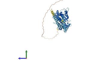 AlphaFold protein structure predicition of Human Recombinant ATL2 Protein, UniprotID Q8NHH9