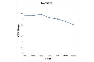Antigen: 0. (TRIM33 antibody  (AA 981-1127))