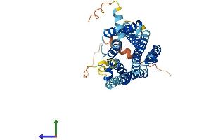 AlphaFold protein structure predicition of Mouse Recombinant Mc4r Protein, UniprotID P56450 (MC4R Protein (AA 1-332) (His tag))