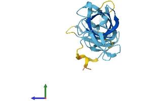Protein Structure (PS) image for Exosome Component 1 (EXOSC1) (AA 1-195) protein (His tag) (ABIN7565000)