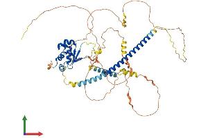 AlphaFold protein structure predicition of Mouse Recombinant Hsf1 Protein, UniprotID P38532