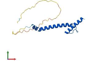 AlphaFold protein structure predicition of Human Recombinant NHLH2 Protein, UniprotID Q02577 (NHLH2 Protein (AA 1-135) (His tag))