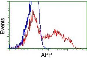 Image no. 4 for anti-Amyloid beta (A4) Precursor Protein (APP) antibody (ABIN1496879) (APP antibody)