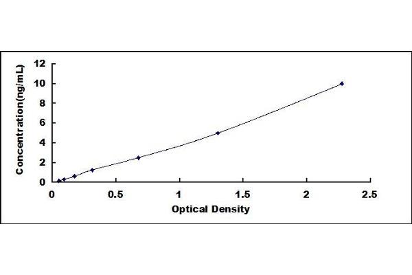 Oncostatin M Receptor ELISA Kit