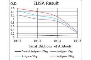 ELISA image for anti-ATP-Binding Cassette, Sub-Family C (CFTR/MRP), Member 4 (ABCC4) (AA 631-692) antibody (ABIN1845662)