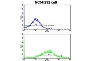 Flow Cytometry (FACS) image for anti-K-Cadherin (CDH6) antibody (ABIN2997777)