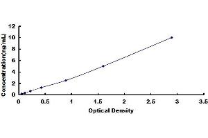 Typical standard curve (Reelin ELISA Kit)