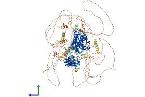 Protein Structure (PS) image for Testis Expressed 14 (TEX14) (AA 1-1450) protein (His tag) (ABIN7564183)
