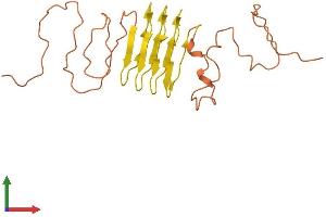 AlphaFold protein structure predicition of Human Recombinant KRTAP5-10 Protein, UniprotID Q6L8G5