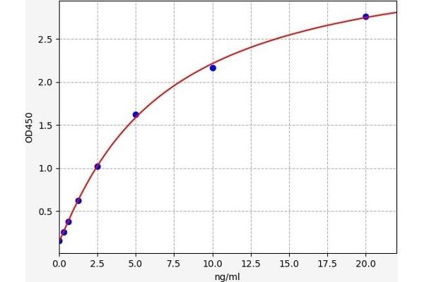 ALOXE3 ELISA Kit