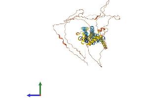 AlphaFold protein structure predicition of Mouse Recombinant Panx2 Protein, UniprotID Q6IMP4