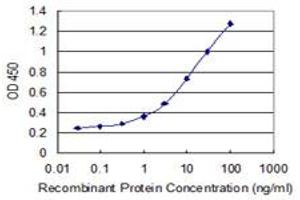 Detection limit for recombinant GST tagged HIST1H4H is 0. (HIST1H4H antibody  (AA 31-103))