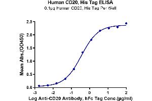Immobilized Human CD20, His Tag at 1 μg/mL (100 μL/well) on the plate. (CD20 Protein (AA 141-188) (His-Avi Tag))