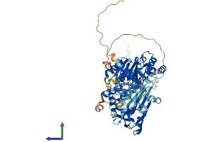 Protein Structure (PS) image for PIF1 5'-To-3' DNA Helicase (PIF1) (AA 1-641) protein (His tag) (ABIN7554938)