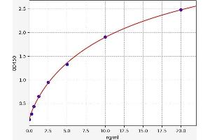 EDNRB ELISA Kit