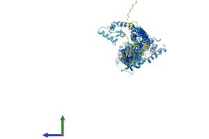 Protein Structure (PS) image for Actinin, alpha 1 (ACTN1) (AA 1-892) protein (His tag) (ABIN7558253)