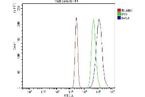 Flow Cytometry analysis of K562 cells using anti-IWS1 antibody (ABIN7602008). (IWS1 antibody  (AA 547-771))