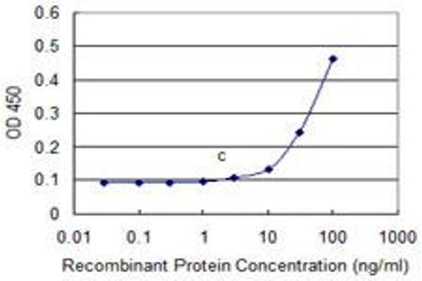 OMG antibody  (AA 26-134)