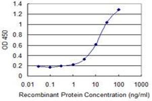 Detection limit for recombinant GST tagged GUCA1C is 0. (GUCA1C antibody  (AA 110-209))