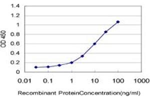 Detection limit for recombinant GST tagged PCDH11Y is approximately 0. (PCDH11Y antibody  (AA 57-165))