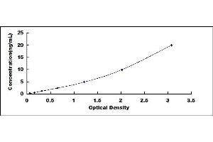 Typical standard curve (p300 ELISA Kit)