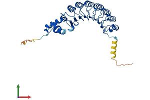 AlphaFold protein structure predicition of Mouse Recombinant Fbxl15 Protein, UniprotID Q91W61